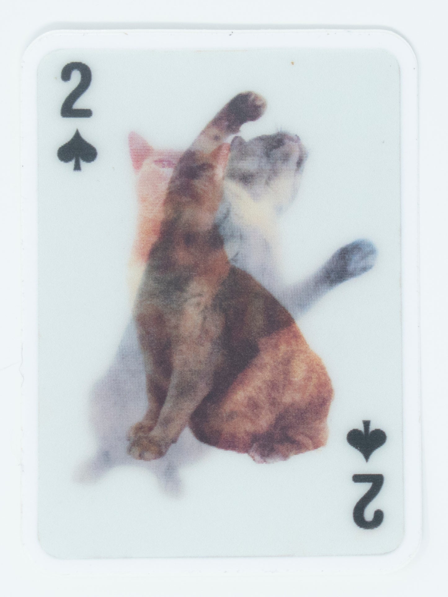L.A. Deck / NYC Deck Playing Card Stickers
