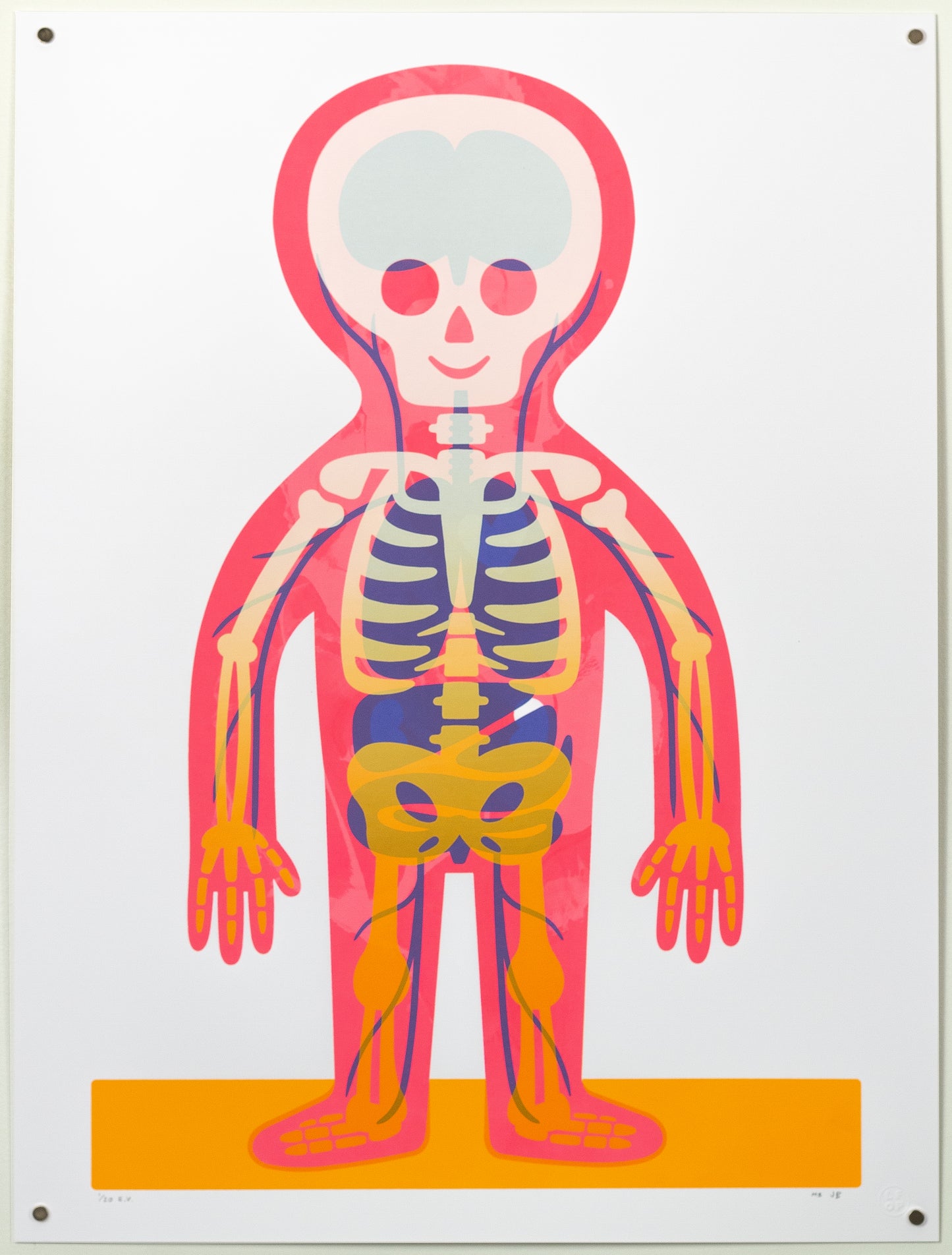 Body